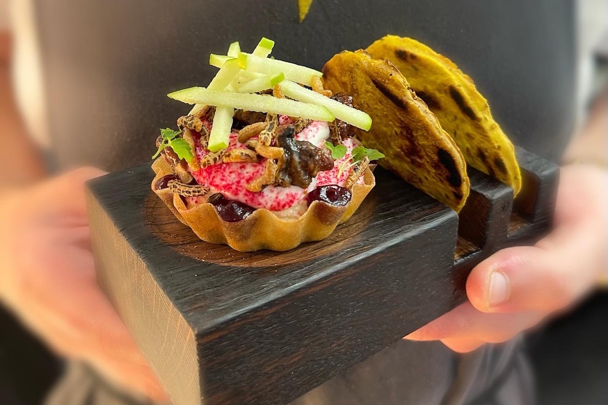 New 7course tasting menu from Fletcher’s Restaurant Dish Cult