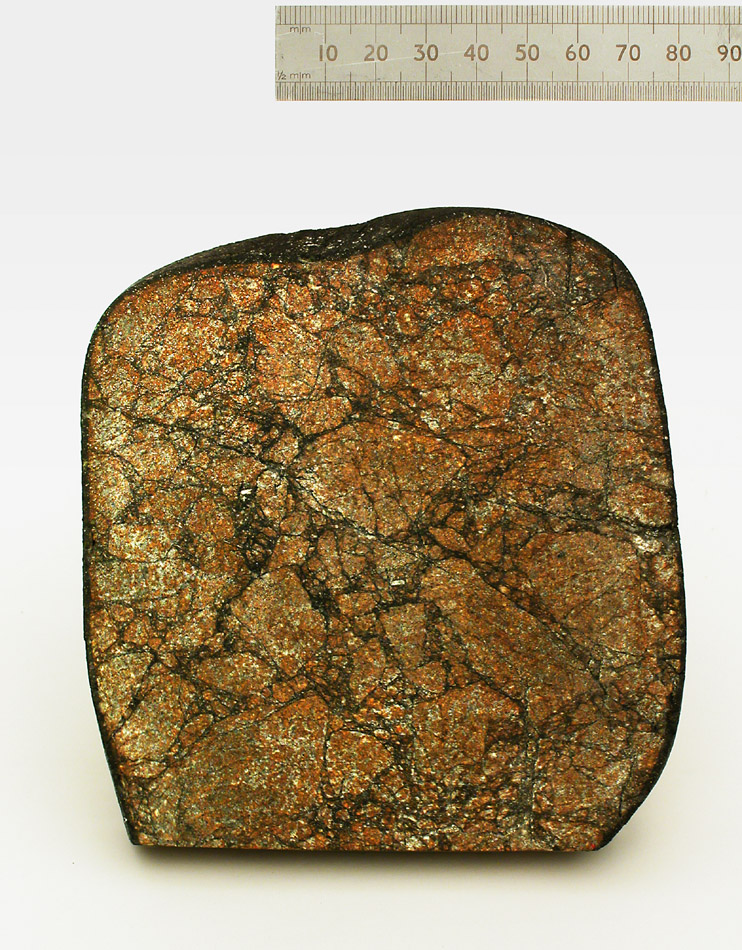 Photo Opportunities 1