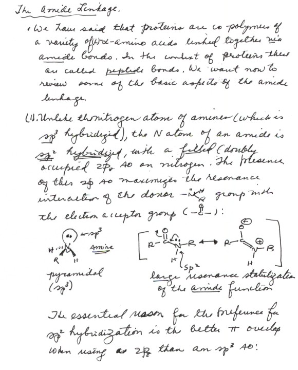 AMINO ACIDS AND PROTEINS