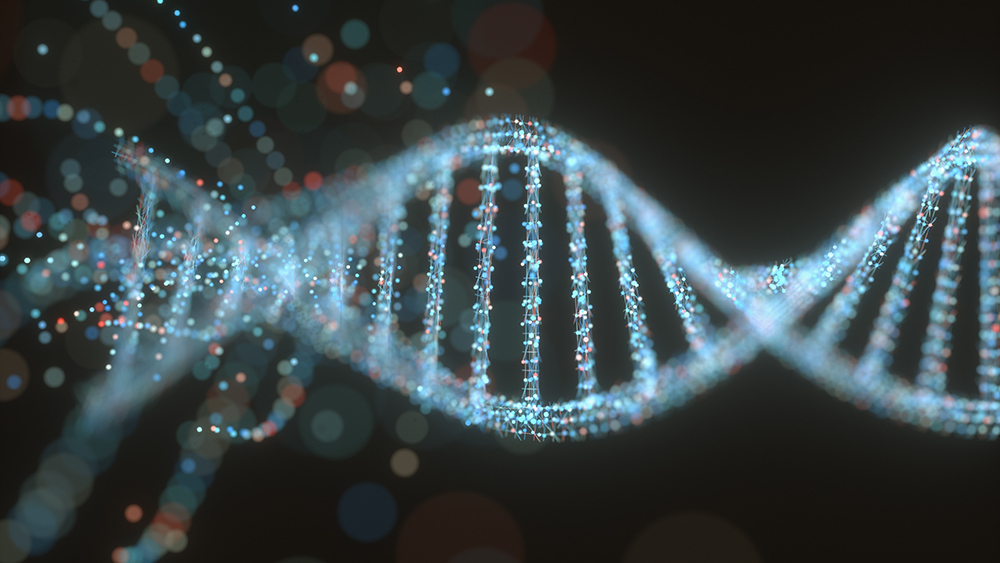 Molecular Evolution Research