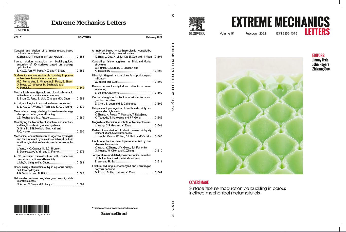 Inclined Metamaterials Front cover of ‘Extreme Mechanics Letters