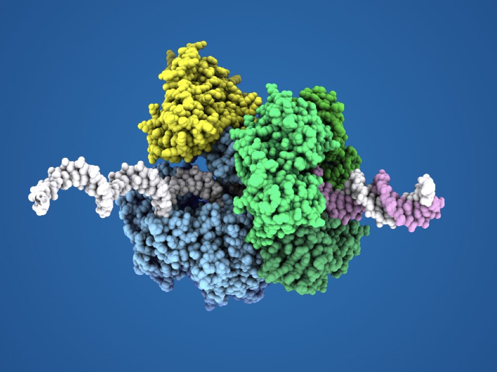Ludovic Sauguet DNA replication group Research Institut Pasteur Ludovic Sauguet DNA replication group Research Institut Pasteur