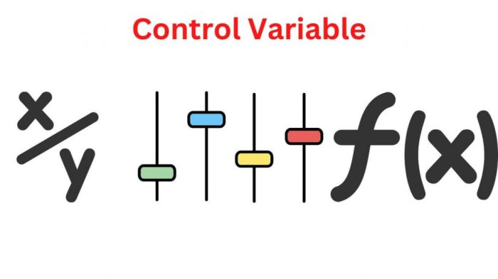 Control Variable - Definition, Types and Examples Control Variable - Definition, Types and Examples