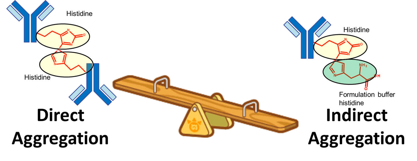 💐 Histidine buffer recipe. Biological Buffers. 20221031