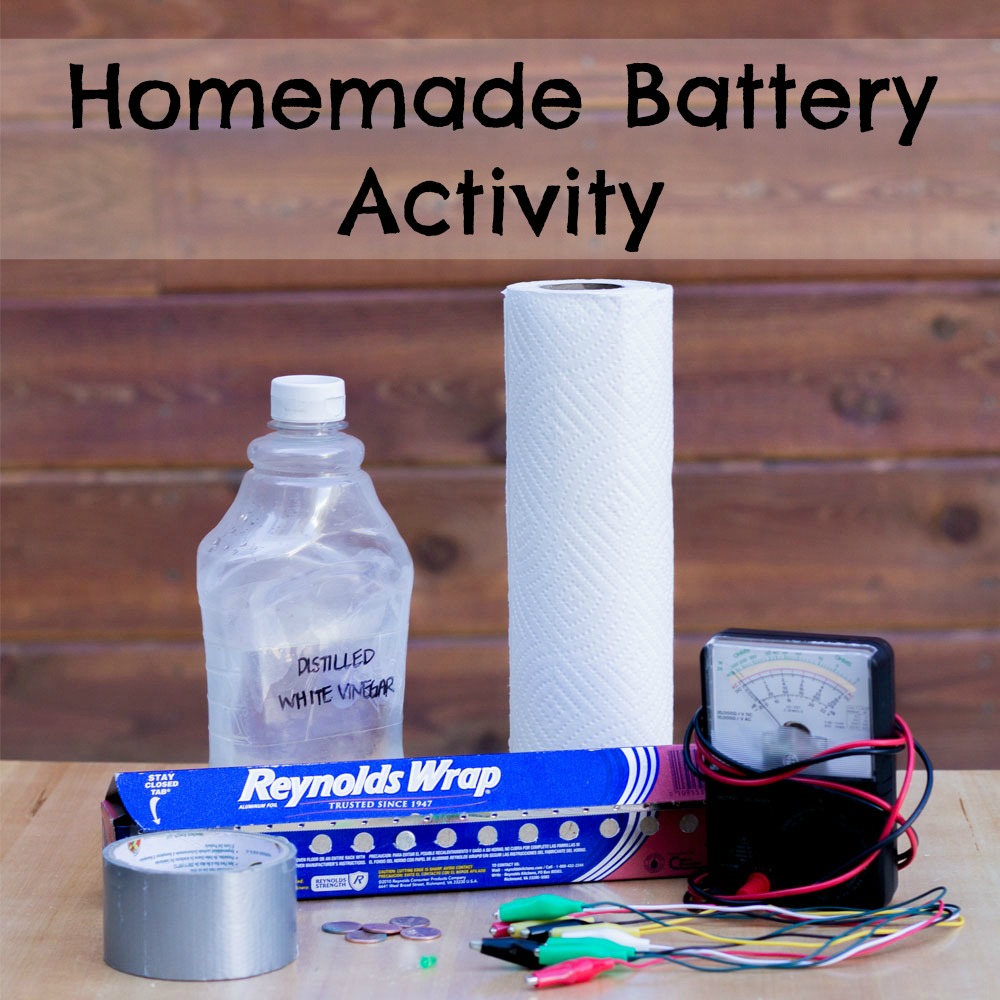 Homemade Battery Activity