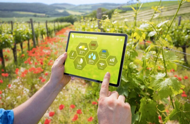 Sustainable Flower Farms for a Cleaner World Research Snipers