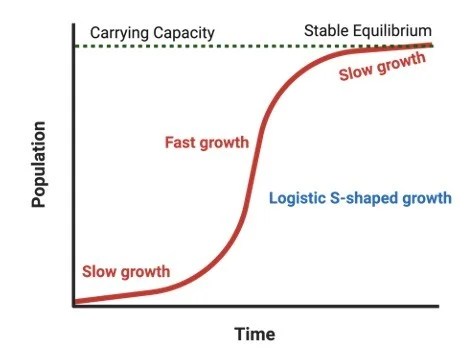 Carrying Capacity: Definition, Graph, and Examples