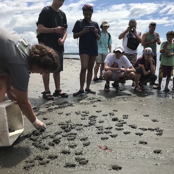 Projects At Reserva Playa Tortuga Reserva Playa Tortuga