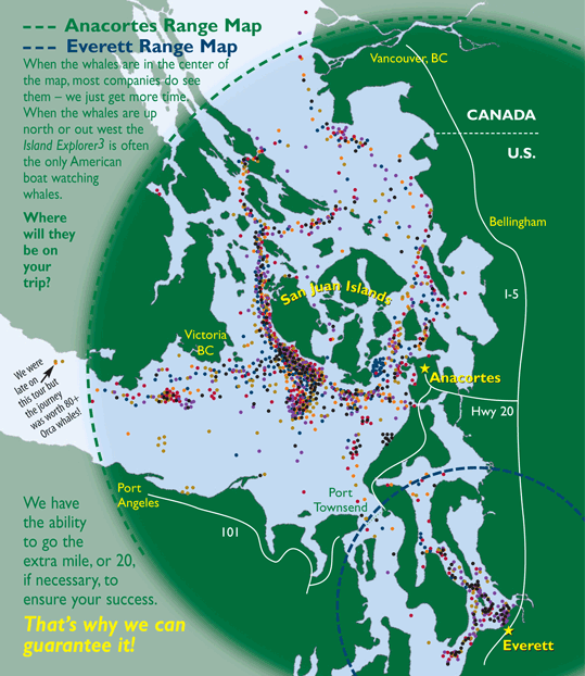 Island Adventures Orca Whale Watching Tours In The San Juan Islands
