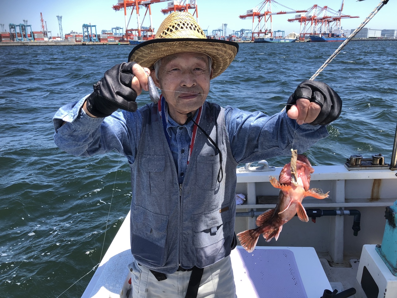 アジの釣果｜2020年6月10日｜金沢八景 黒川丸（神奈川県/金沢八景平潟）｜キャスティング釣り船予約