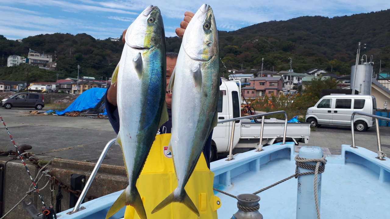 ワラサの釣果｜2020年11月8日｜嘉丸（静岡県/宇佐美港）｜キャスティング釣り船予約