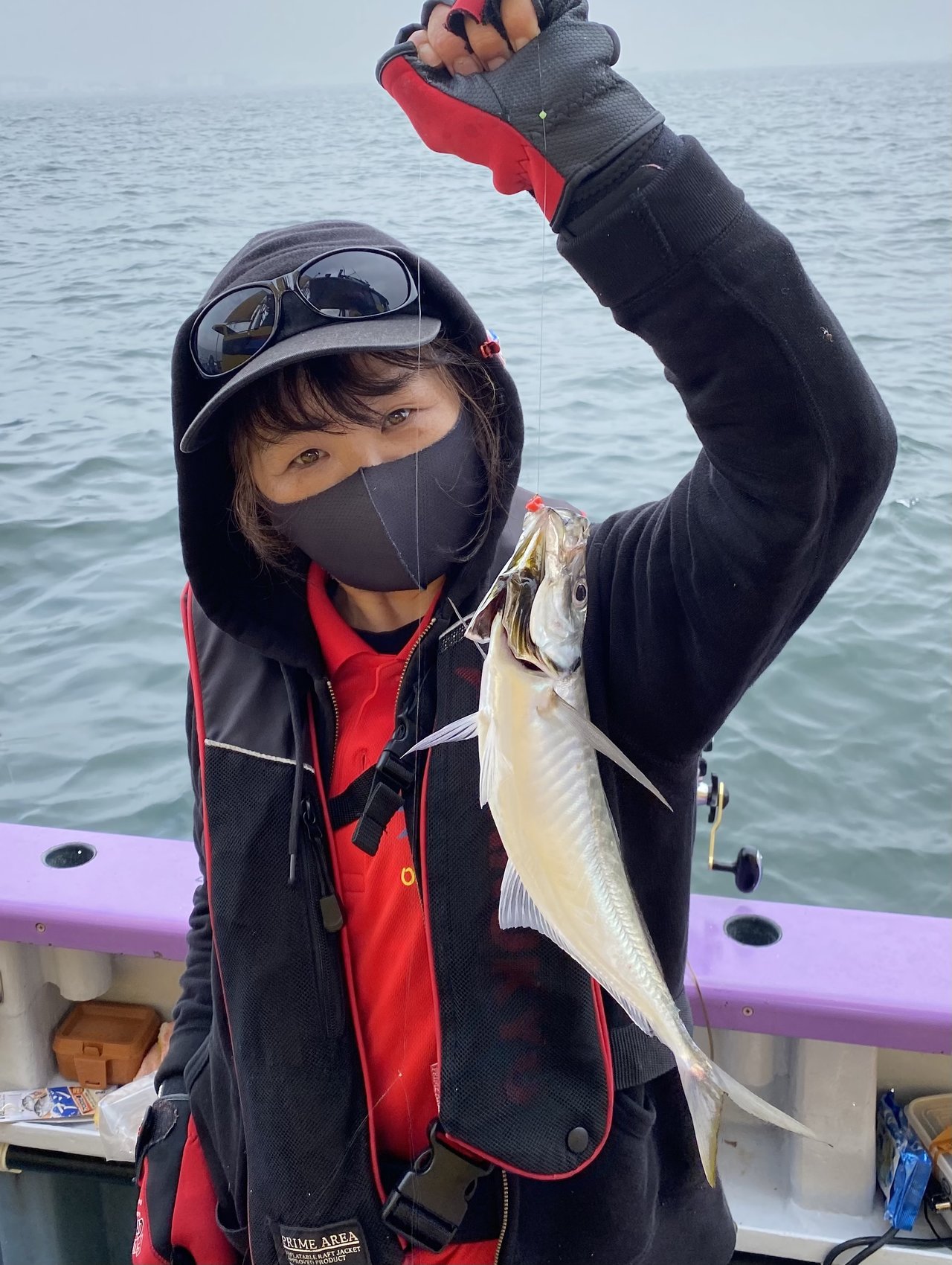釣果｜こうゆう丸（神奈川県/新安浦港）公式WEB予約「24時間受付・特別割引・ポイント還元」