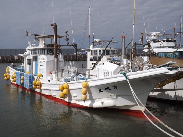アジ・イサキ五目とタチウオのリレー釣りプラン☆大物がたくさん潜む海！旬の美味しい魚をゲット！｜冲帆丸（はるまる