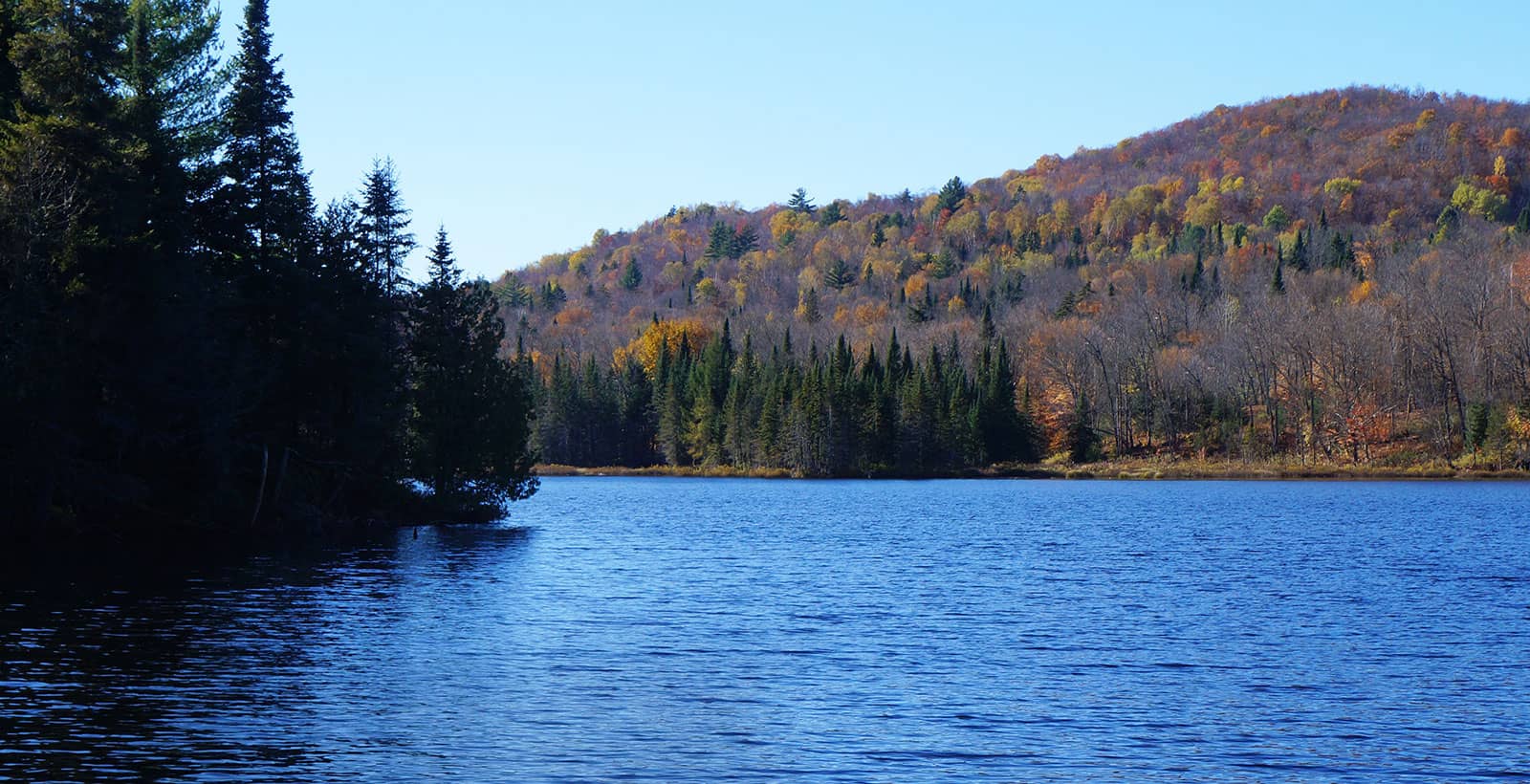 Projet domiciliaire dans les Laurentides La Réserve MorinHeights