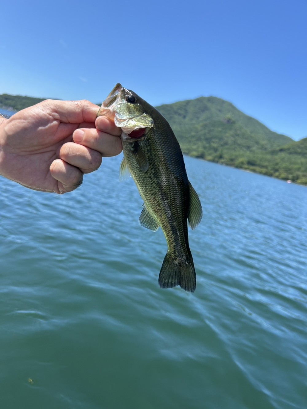 群馬県榛名湖のバス釣り釣果情報｜RESERVER(リザーバー）