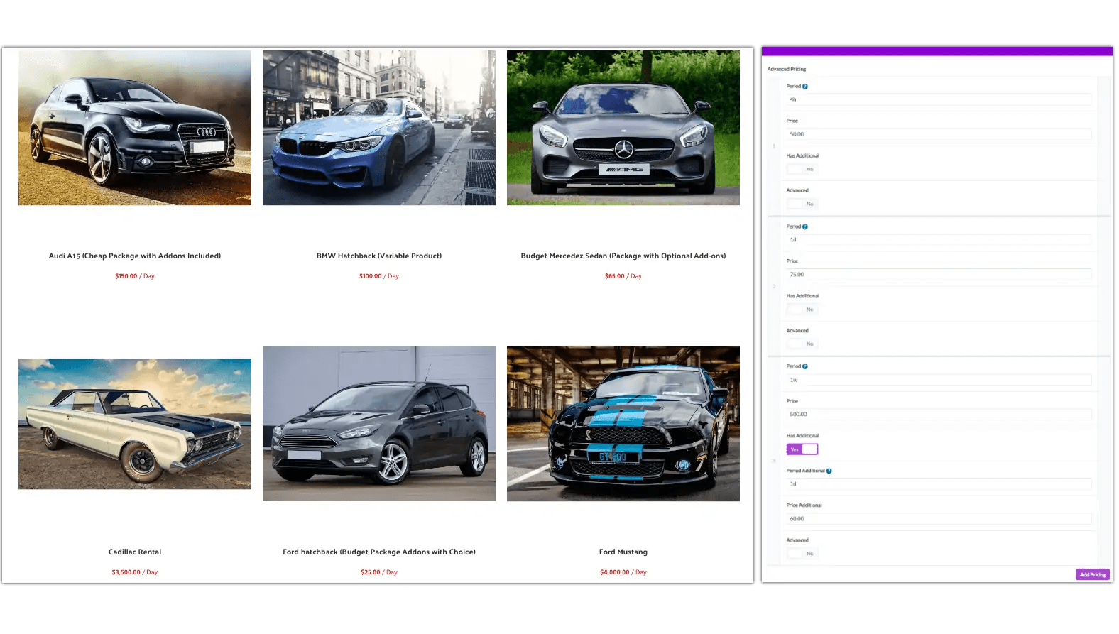 Car Rental Software with Online Booking System Reservety