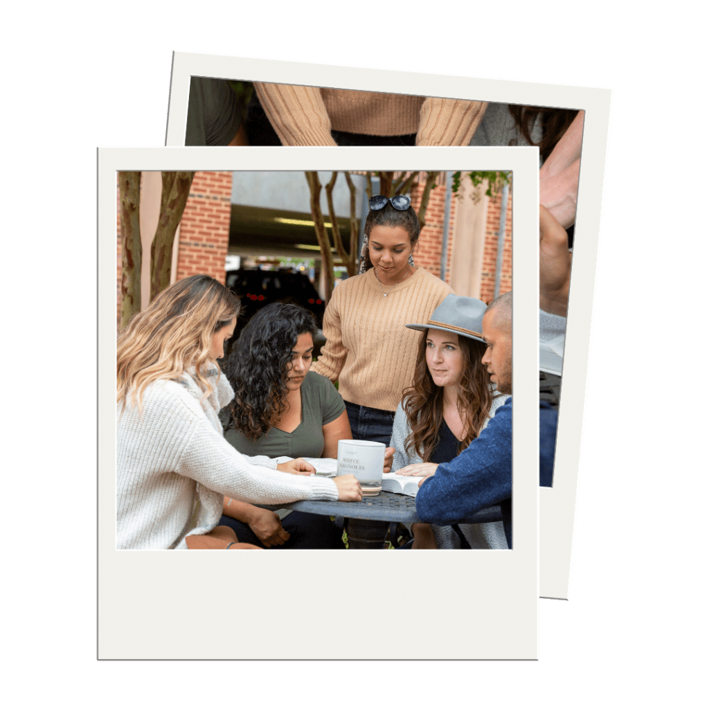 Freedom Tree Reset180