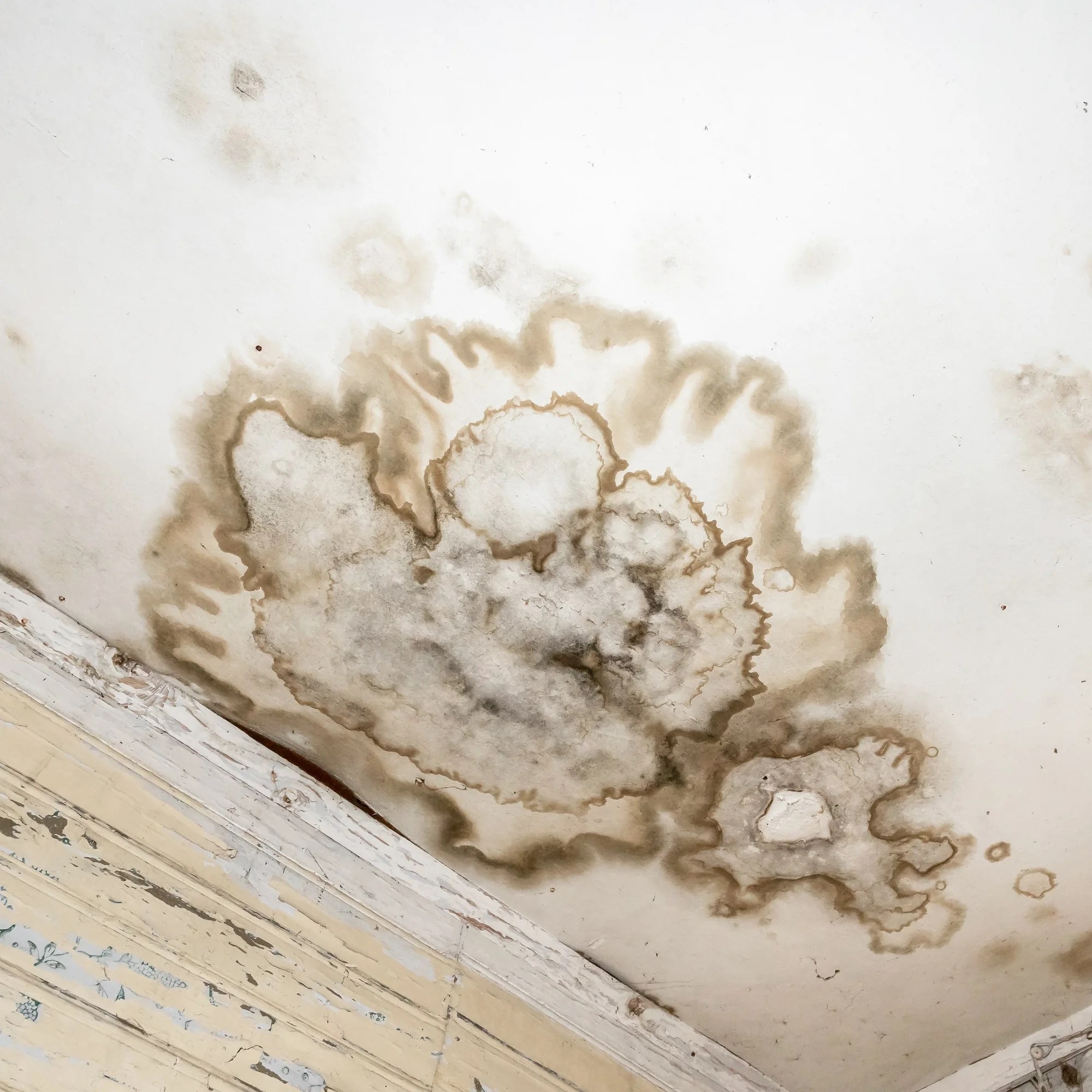 The Hidden Dangers of Ignoring Roof Leaks and How Reset Roofing Can