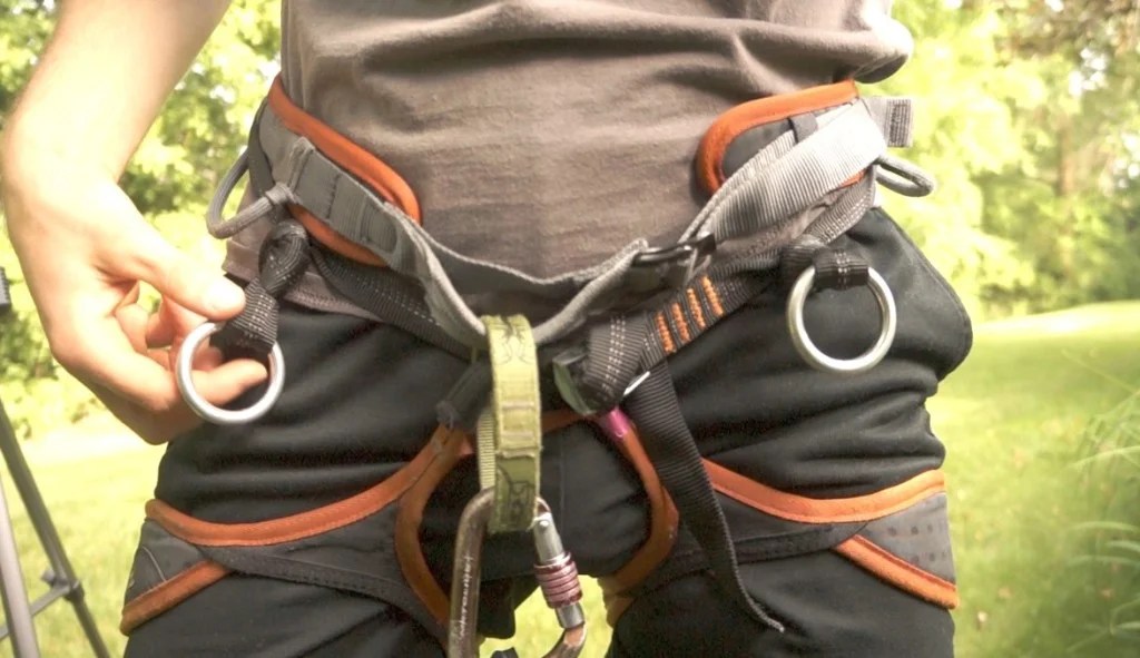 How to Climb a Tree Safely » Residence Style