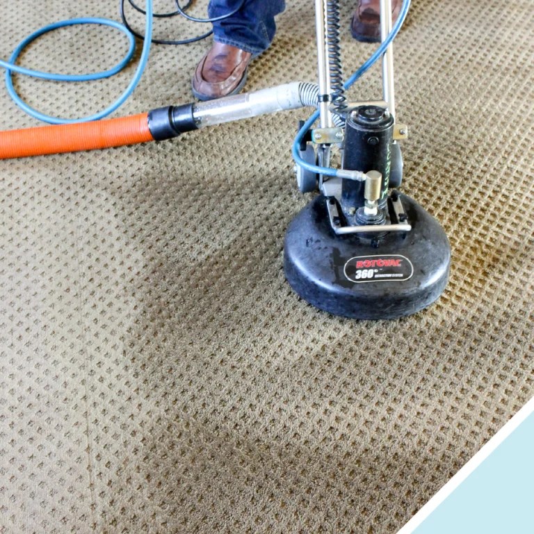 Affordable Carpet Cleaning In Allentown Pennsylvania » Residence Style