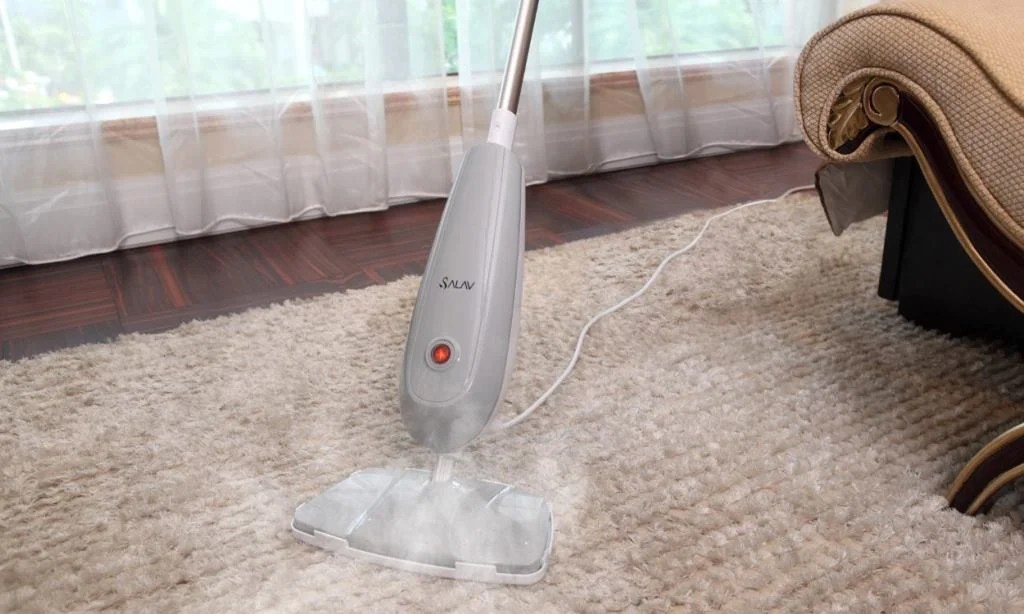 4 Tips for Cleaning Shag Carpets » Residence Style