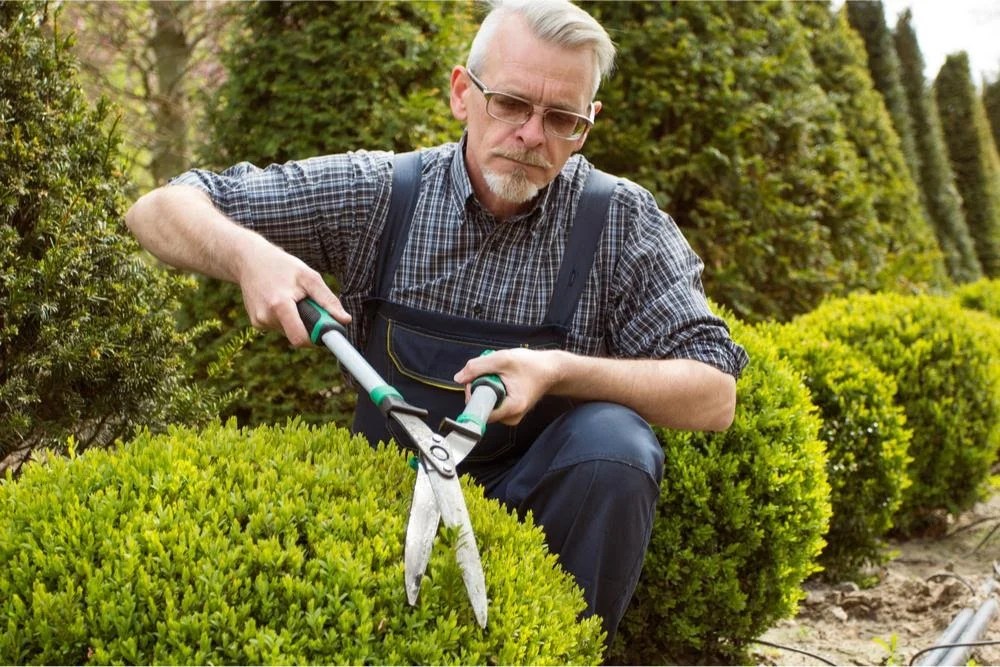 Jobs That Need Landscaping Insurance » Residence Style