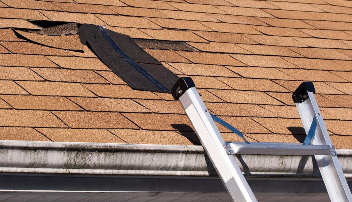 The Homeowner's Guide to Roof Insurance and Damage ResidenceTalk