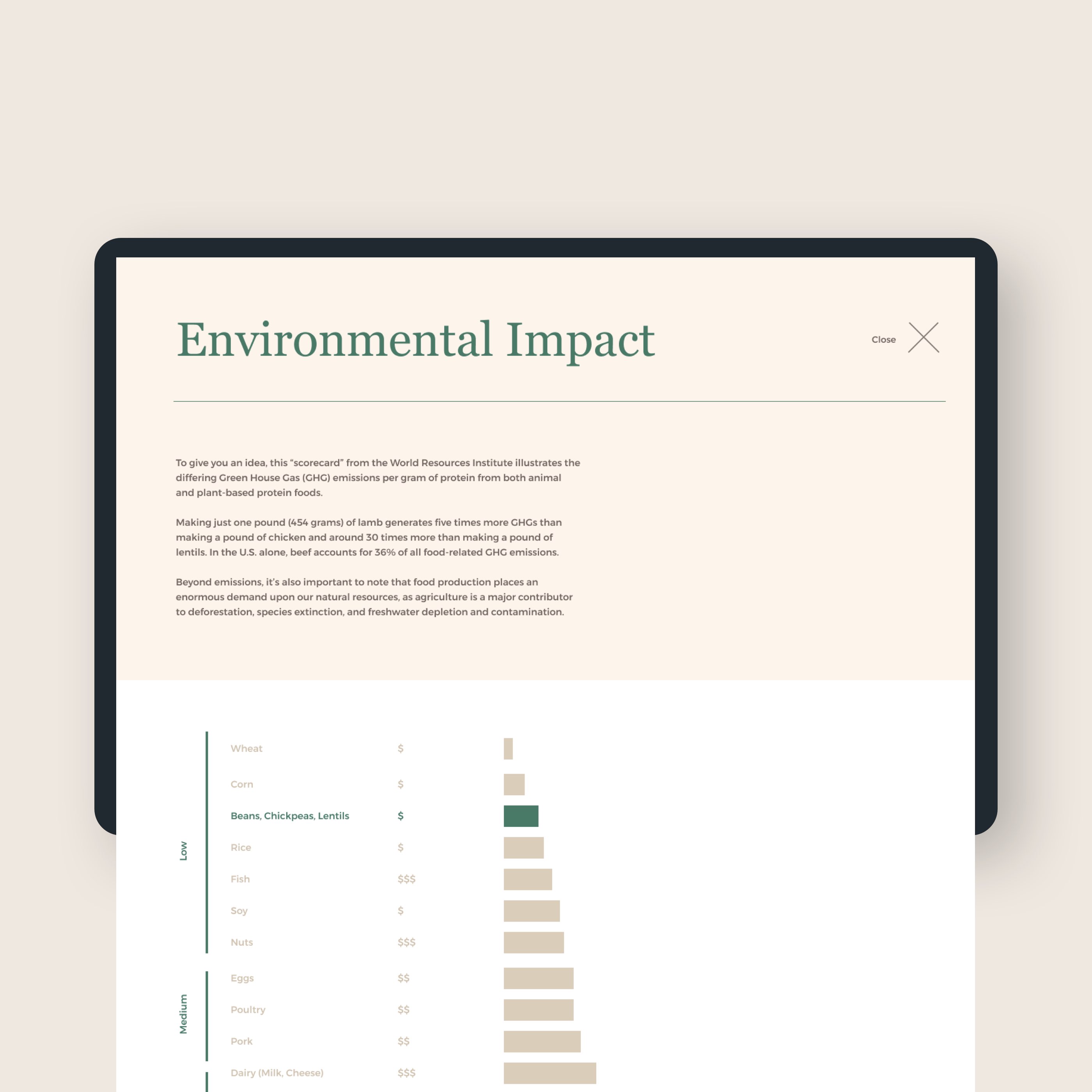 Australian Plant Proteins Residency Studios