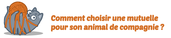 Comparer Mutuelles Animaux, assurance chien et chats