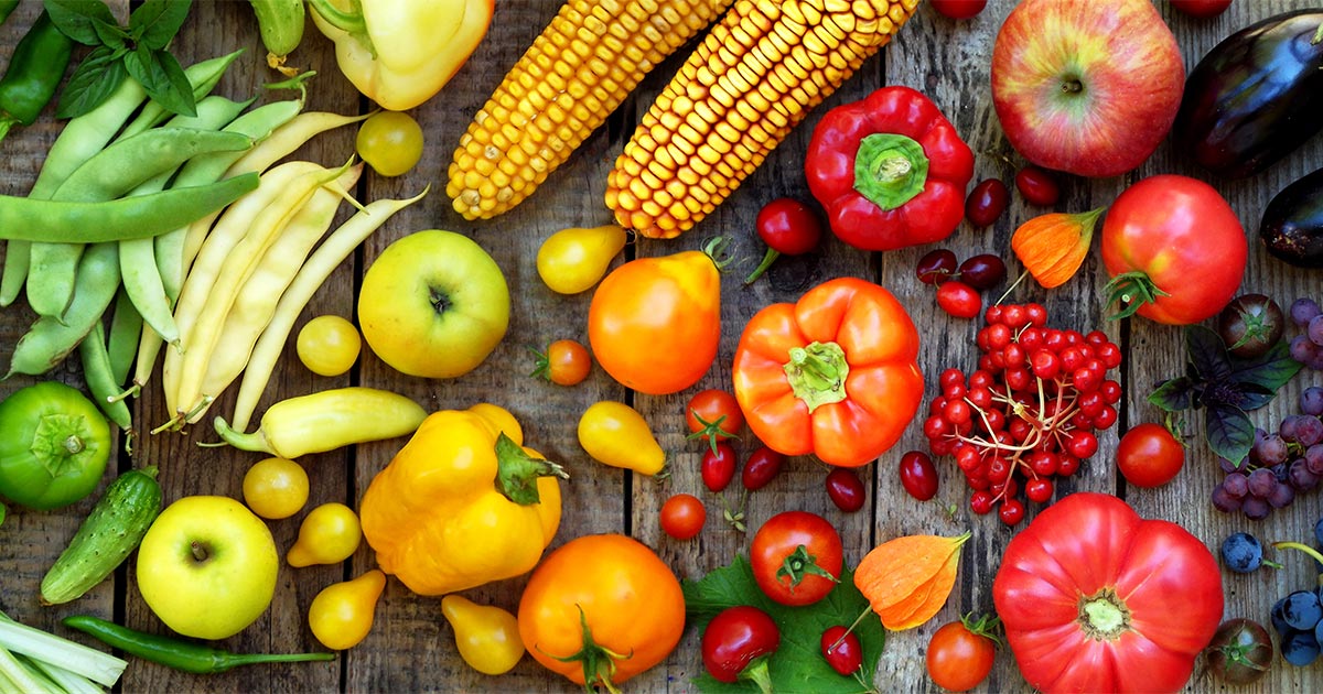 Tips to Boost Your Immune System This Cold & Flu Season Resilient