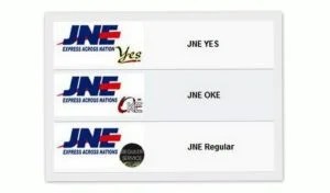 Berapa lama pengiriman JNE YES,OKE Dan reguler • Resinesia