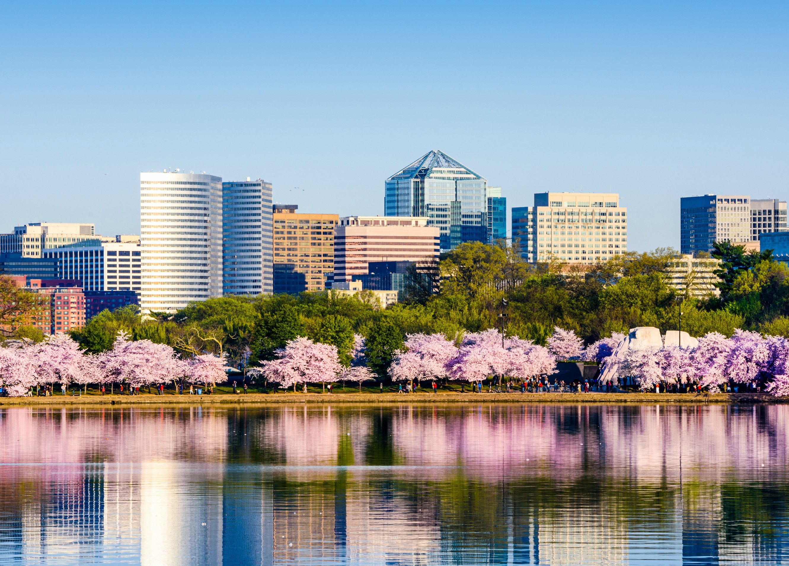 Arlington RE SMART HOMES