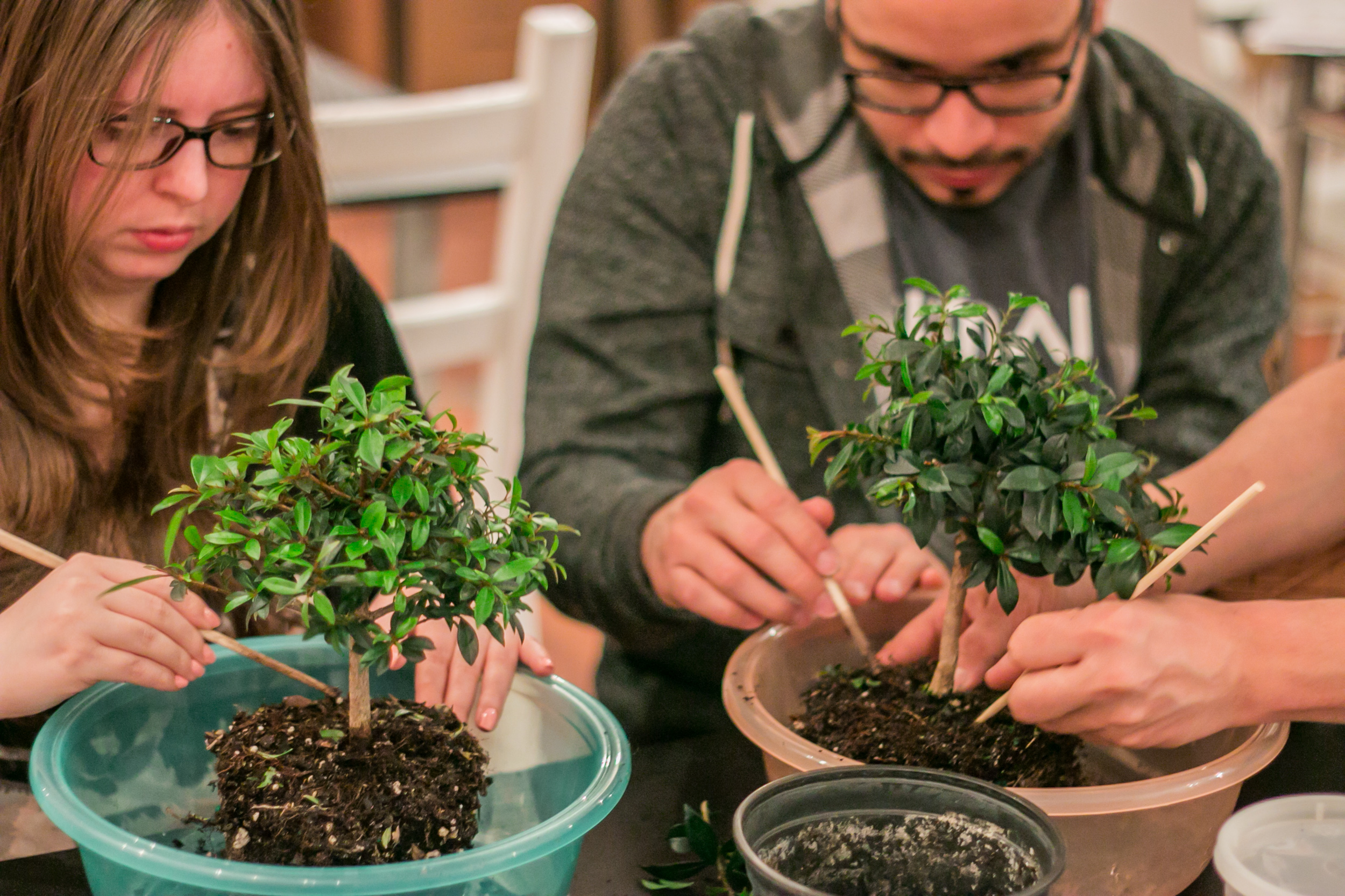 Bonsai Class RESOBOX