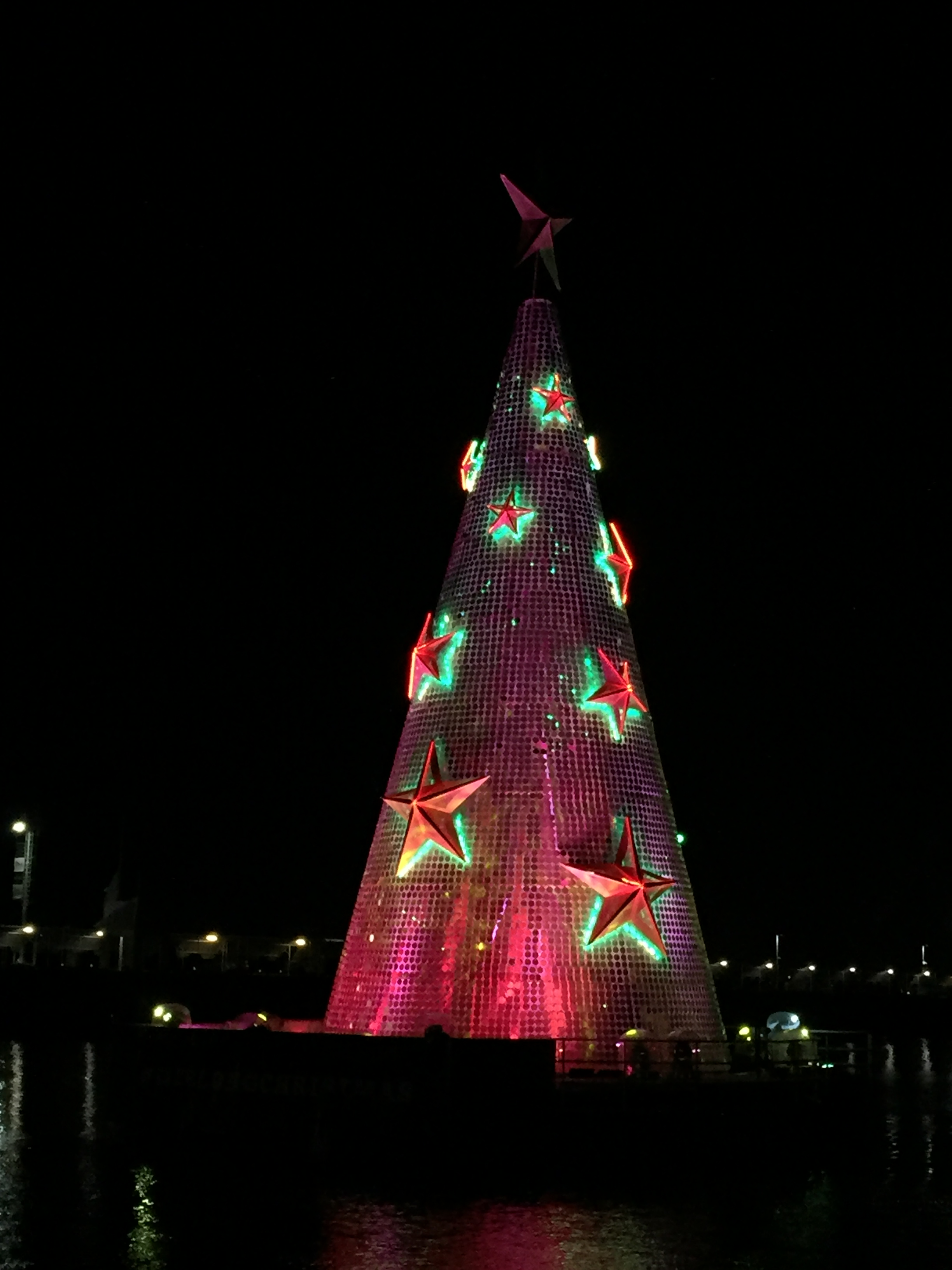 Geelong Lights up for Christmas Resolution X