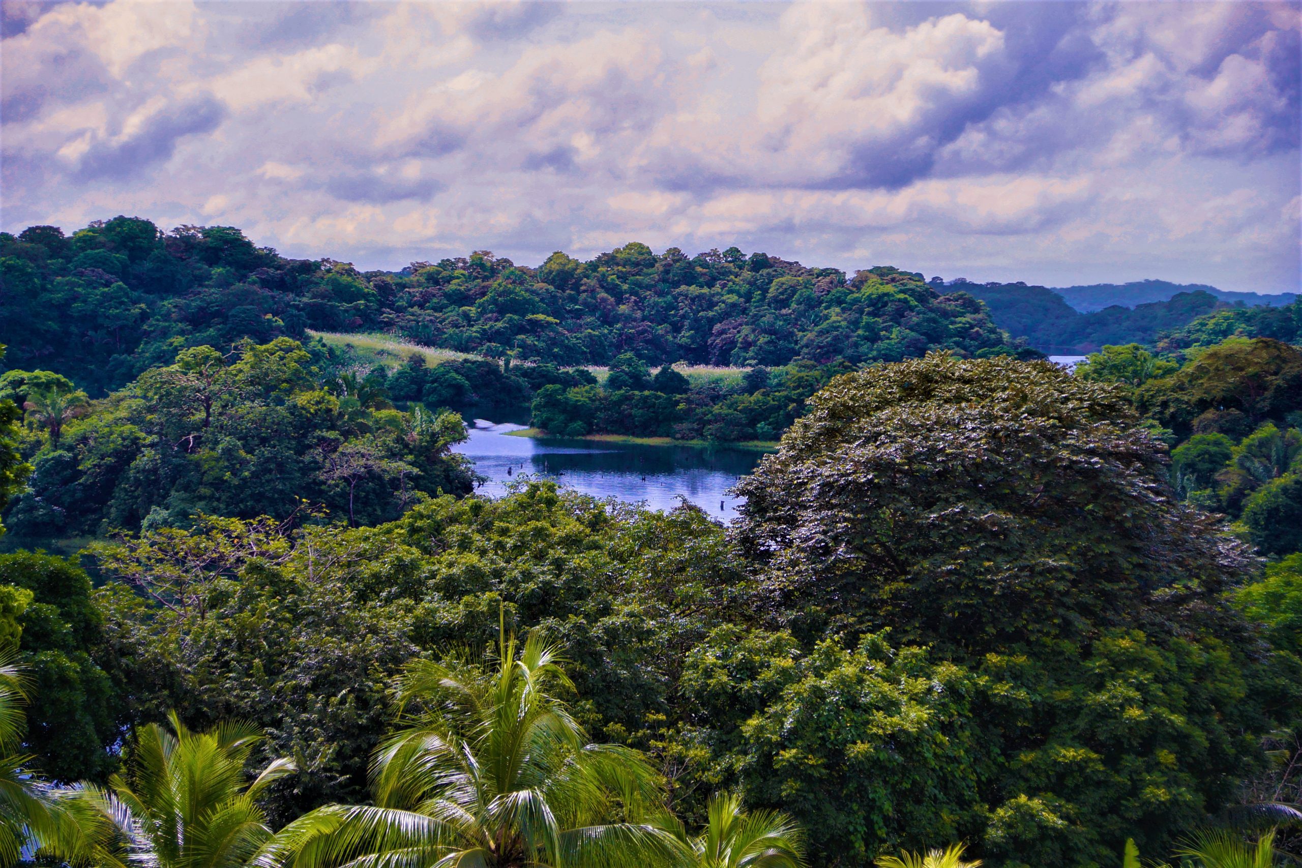 Gatun Lake Panama Land for Sale Caribbean & Central American Resorts
