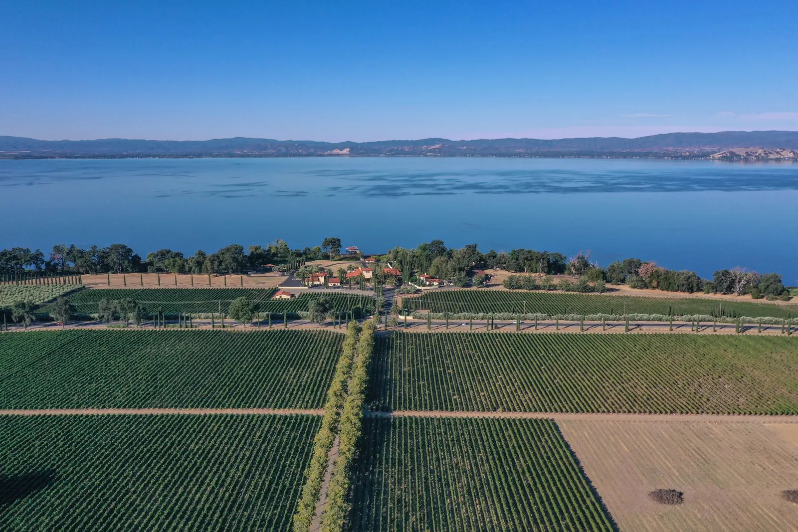 California Vineyard For Sale With Lakeside Wine Estate