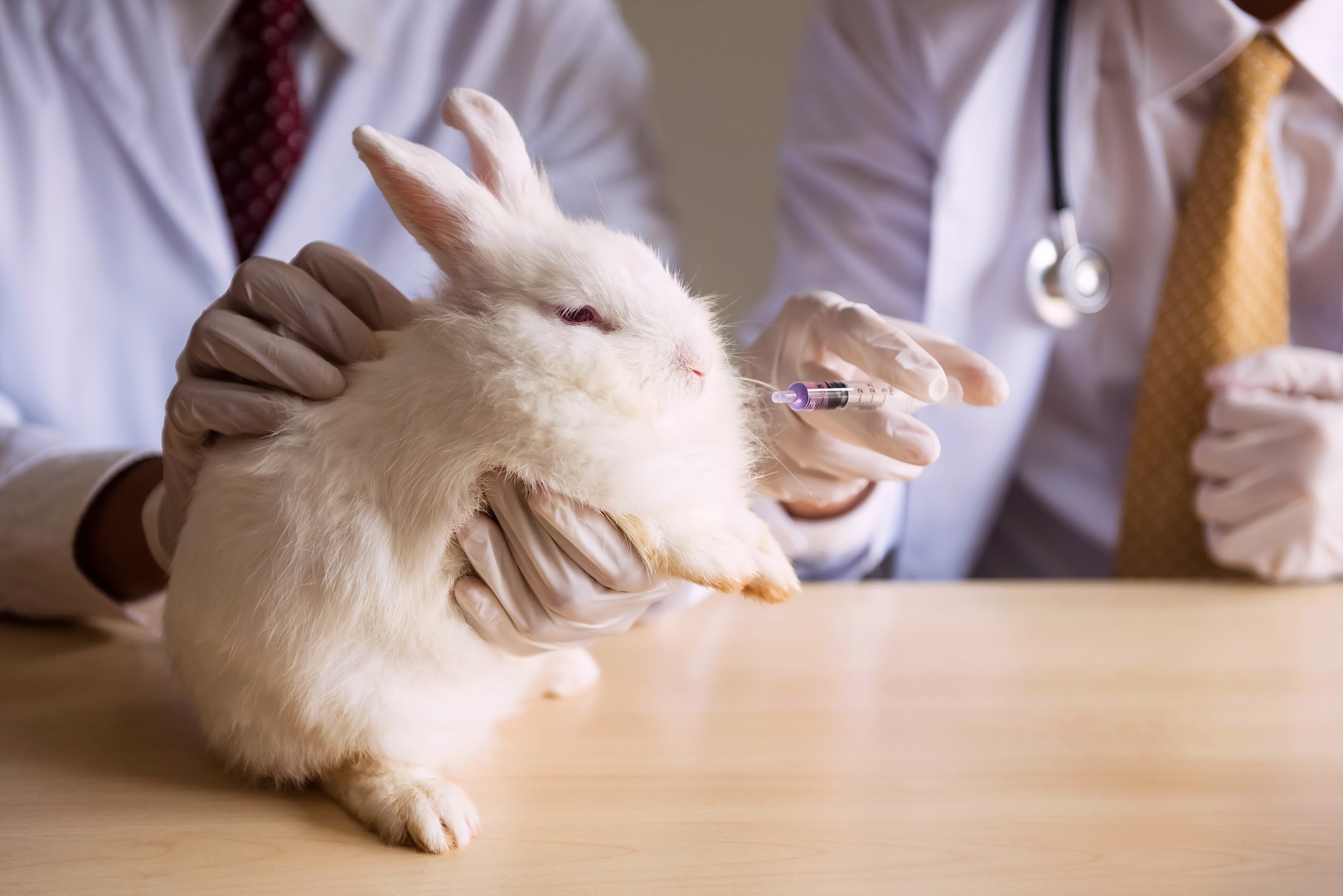 New Jersey to Ban the Sales of AnimalTested Cosmetics in 2022 ChemLinked