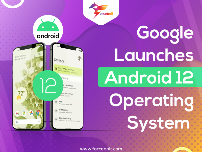 Google Launches Android 12 Operating System