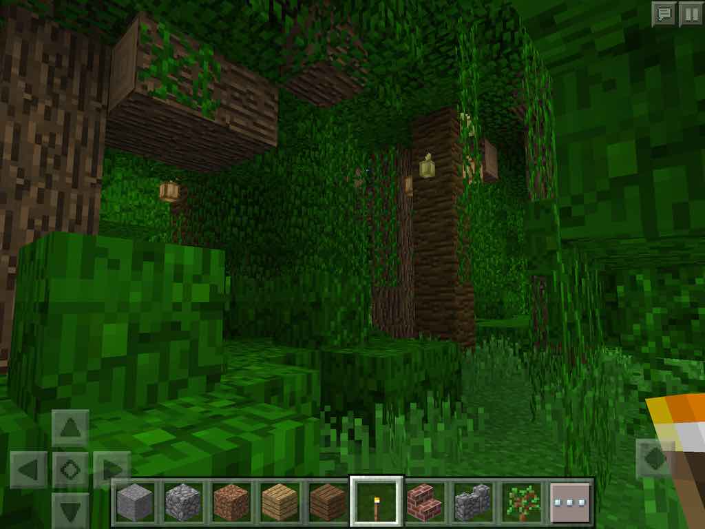 What is a Biome? Minecraft Pocket Edition