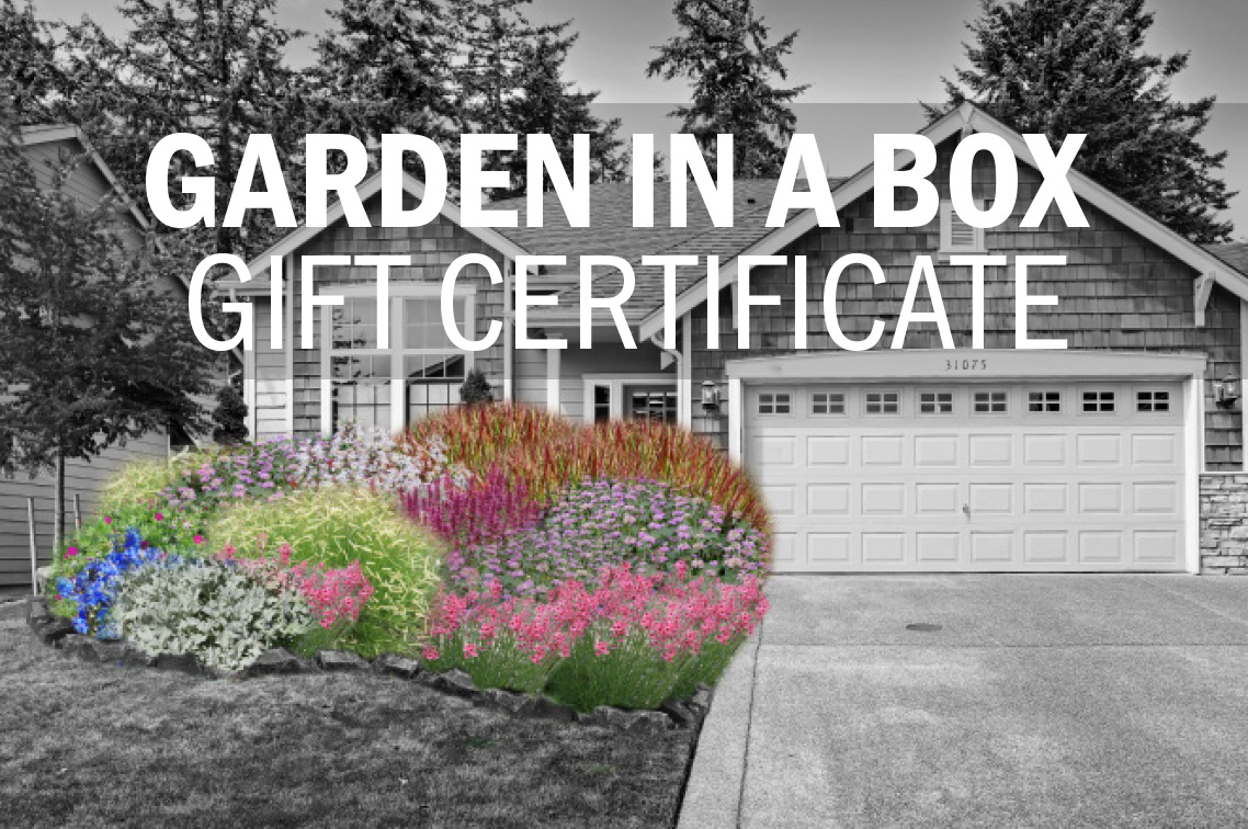 Gift Certificate Resource Central