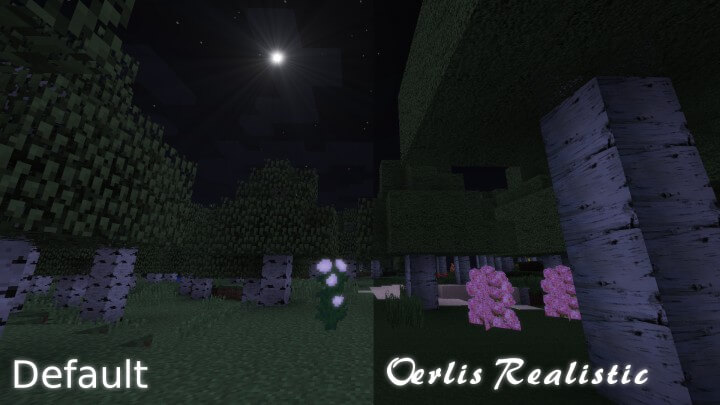 Oerlis Realistic Resource Pack for 1.17.1/1.16.5/1.15.2/1.14.4/1.13.2