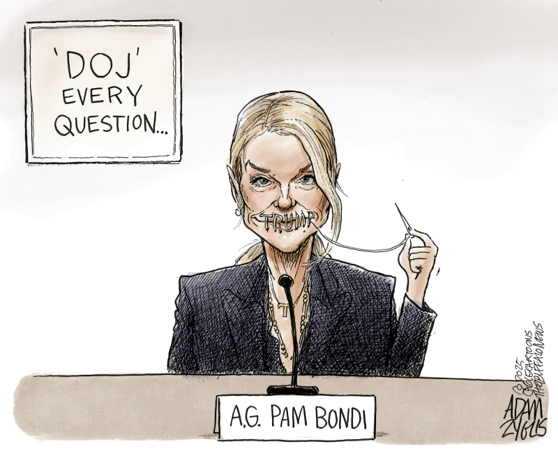 Pam Bondi Adam Zyglis Comics Arcamax Publishing