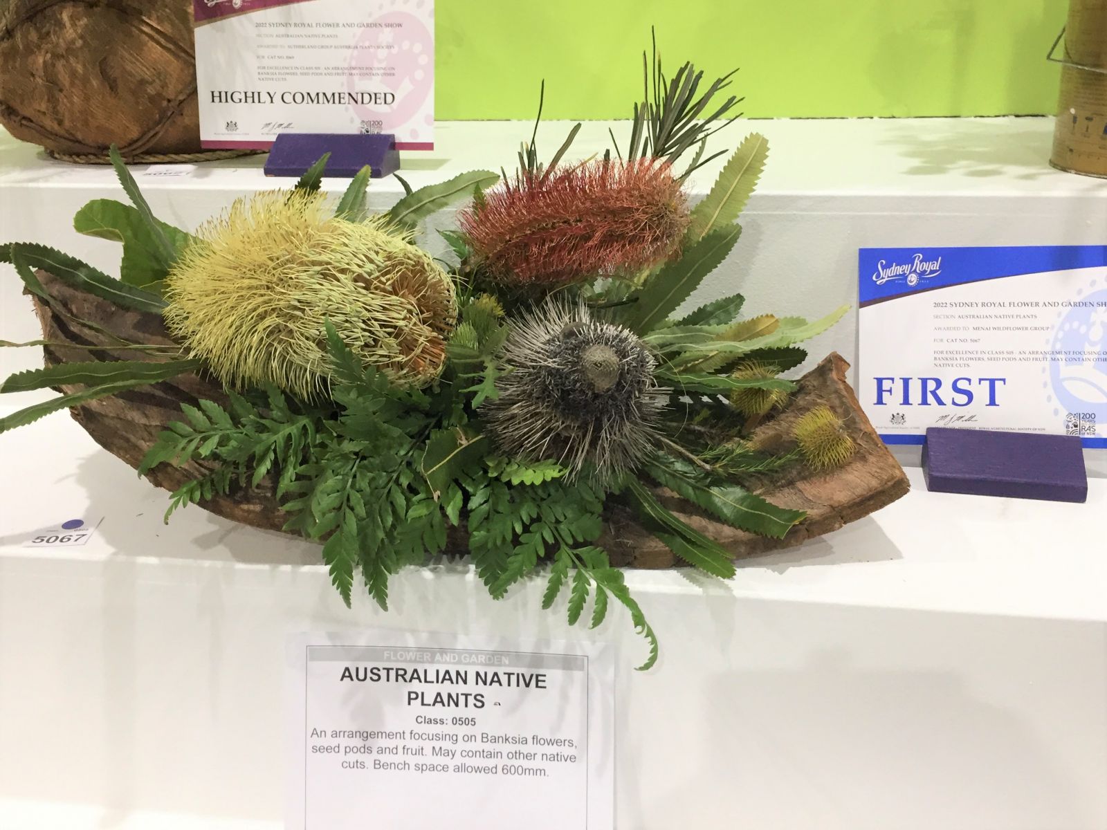 IMG_3896.1 Australian Plants Society