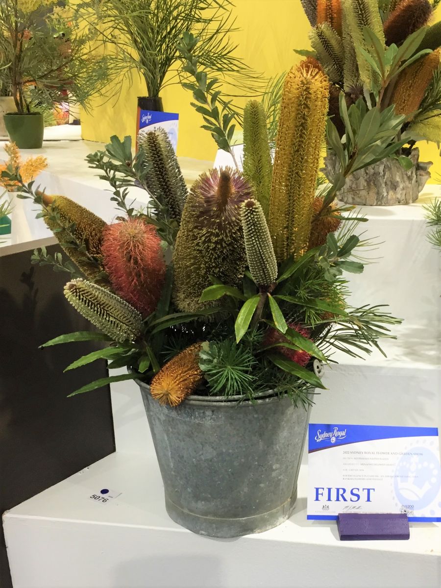 IMG_3904.1 Australian Plants Society