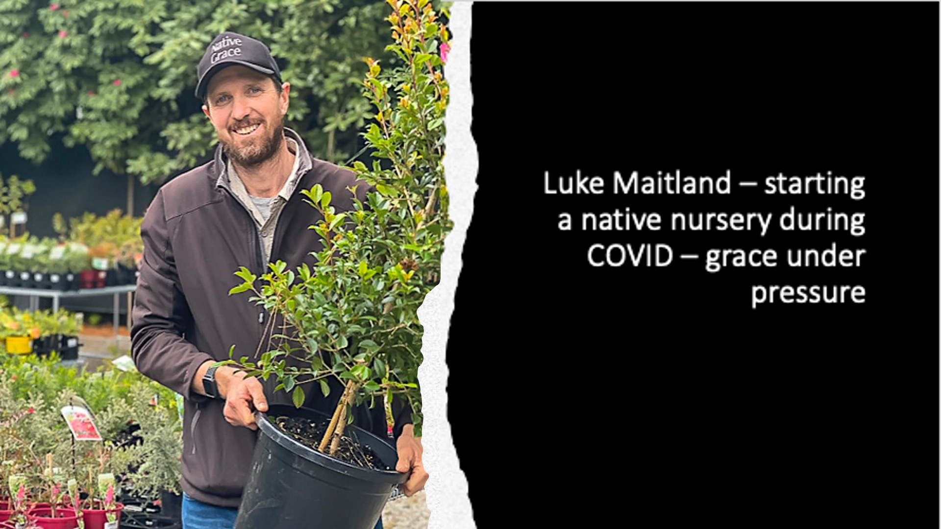 Slide45 Australian Plants Society