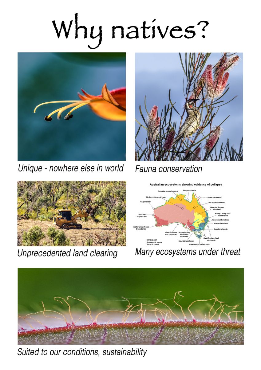 Why natives Australian Plants Society