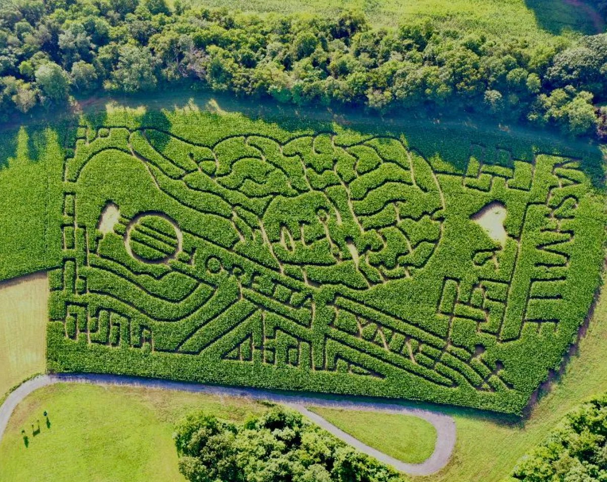 Honeysuckle Hill Farm, Springfield