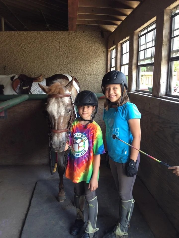 North Texas Equestrian Center, Dallas