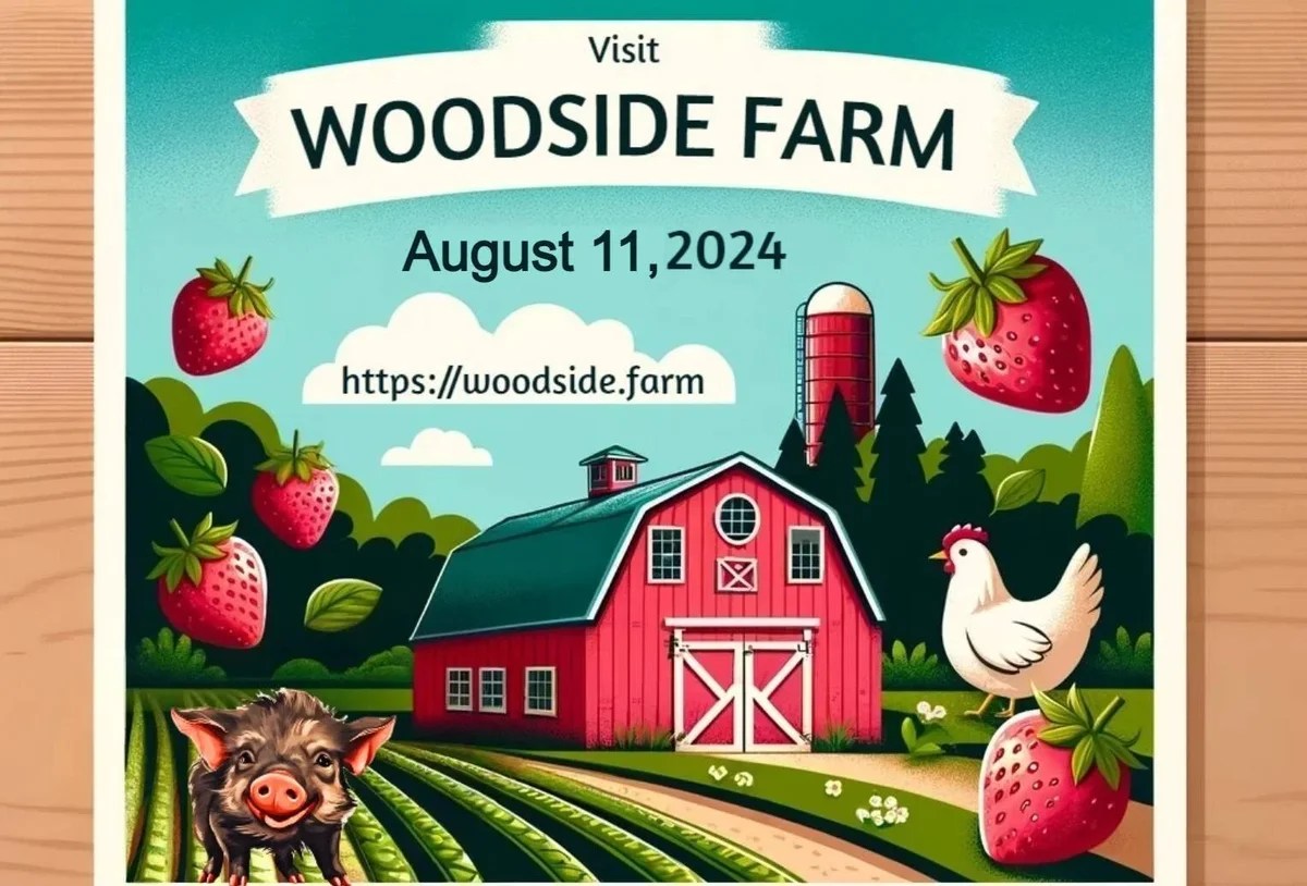 Woodside Farm Fresh Food Experience