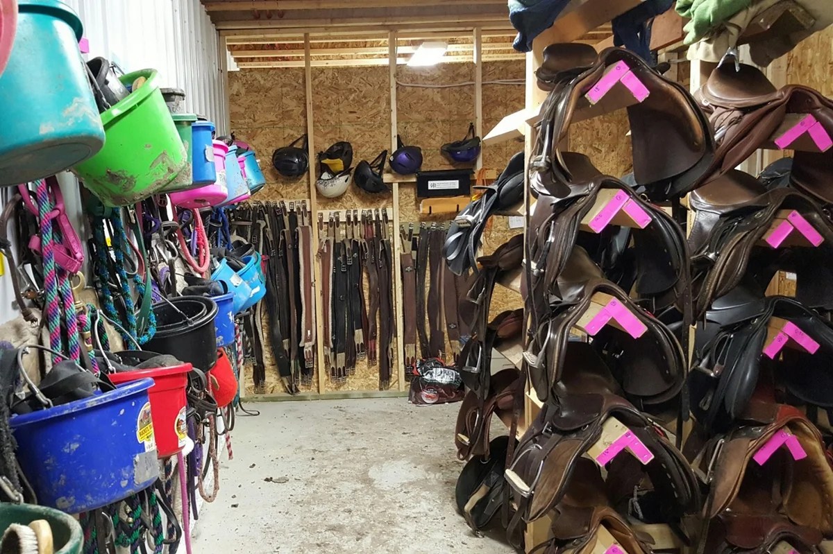 PaintsPlus Equine Center, Sherwood Park